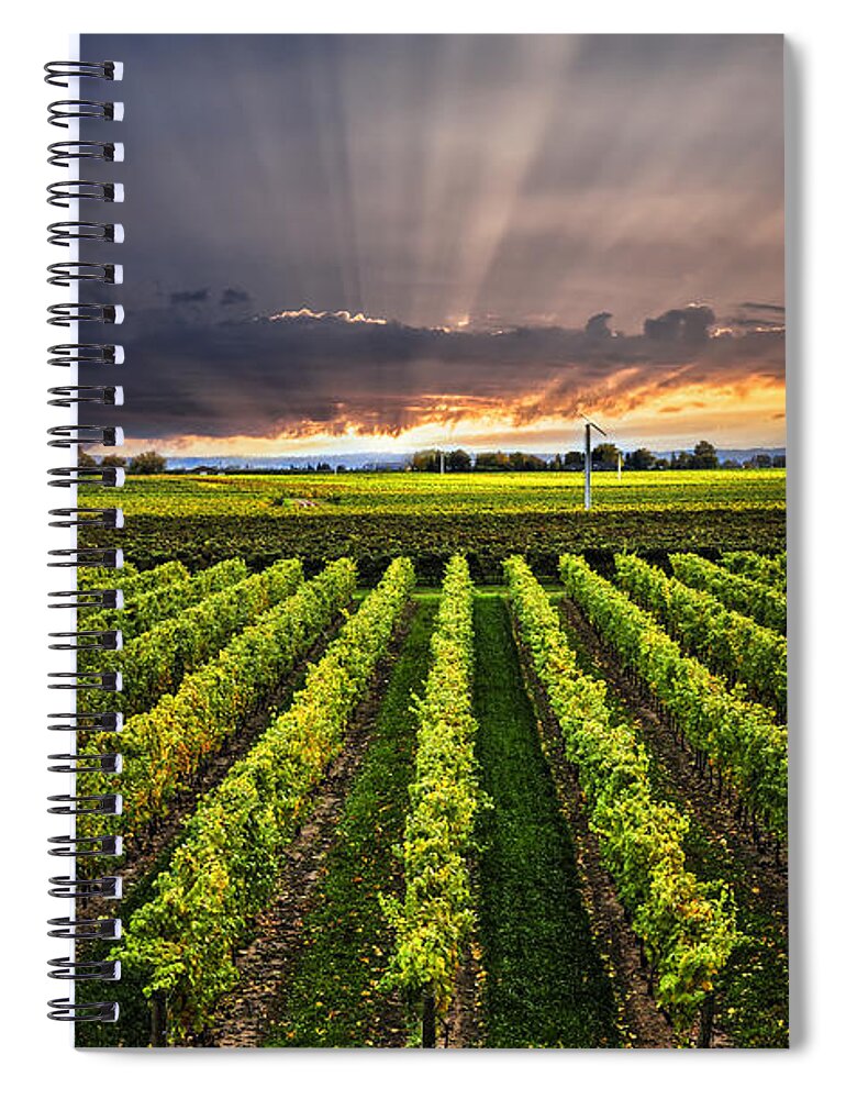 Vineyard Spiral Notebook featuring the photograph Vineyard and sunset sky by Elena Elisseeva