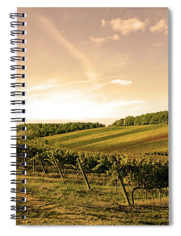 Scenics Spiral Notebook featuring the photograph Vineyard by Marcomarchi