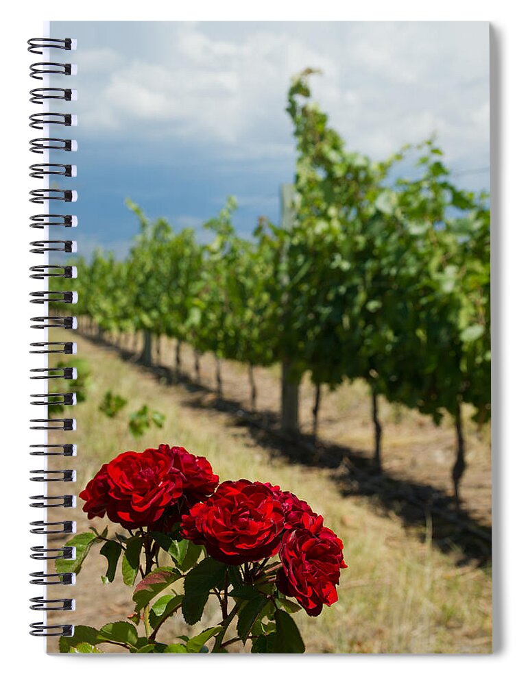 Rose Spiral Notebook featuring the photograph Vineyard Rose by Kent Nancollas