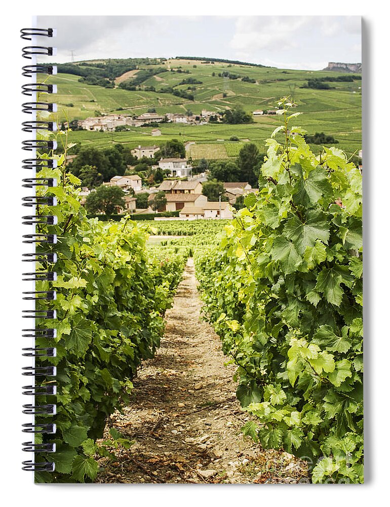 Vineyard Spiral Notebook featuring the photograph Vineyard with view on Burgundy village by Patricia Hofmeester