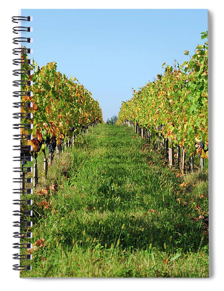 Scenics Spiral Notebook featuring the photograph Vineyard - Xlarge by Phototalk