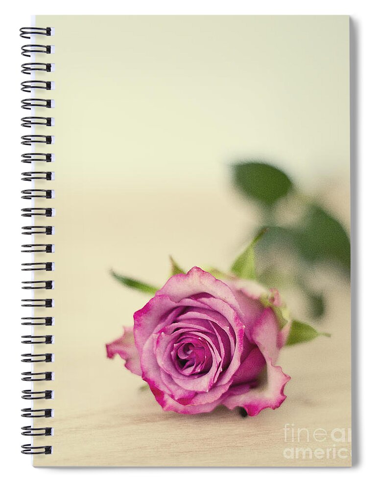 Photography Spiral Notebook featuring the photograph Vintage Chic by Ivy Ho