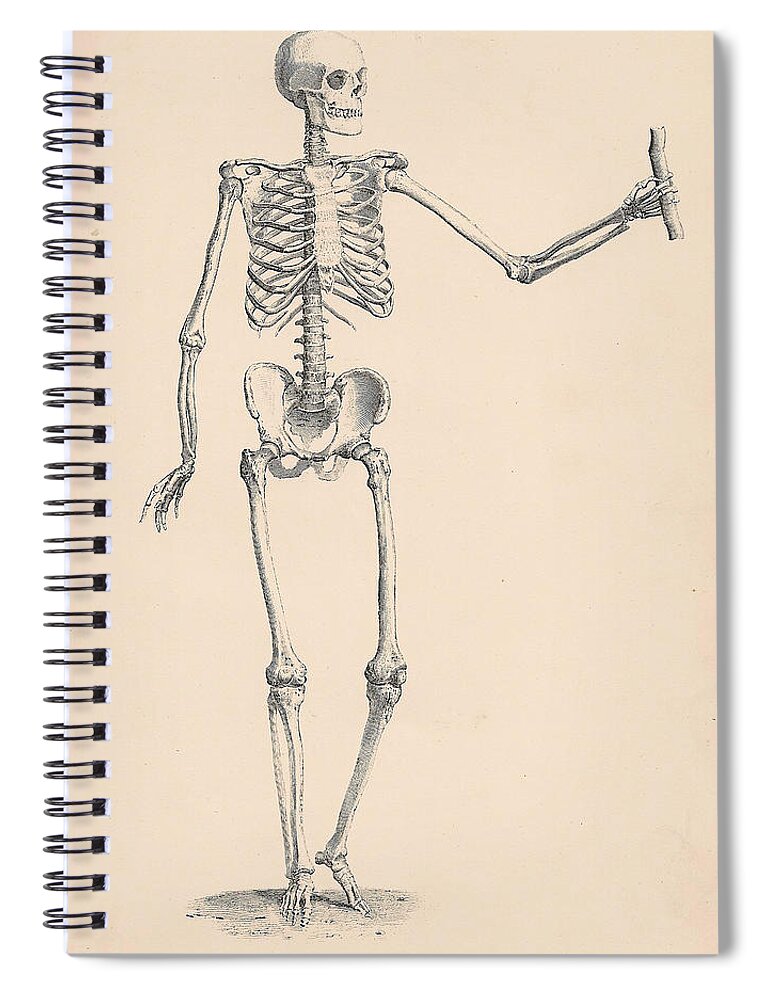 Vintage Spiral Notebook featuring the digital art Vintage Skeleton by Georgia Clare