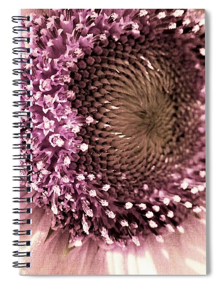 Sunflower Spiral Notebook featuring the photograph Vintage Sunflower by Marianna Mills