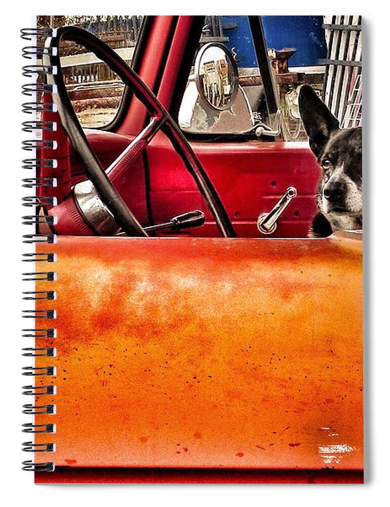 Sammy The Guard Dog Spiral Notebook featuring the photograph Waiting for Criminals by Patricia Greer