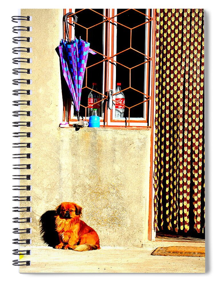 Dog Spiral Notebook featuring the photograph Waiting for Godot by Cornelia DeDona