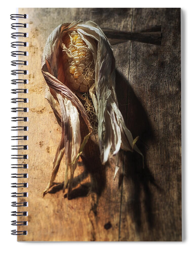 Abstract Spiral Notebook featuring the photograph Waiting for Reincarnation by Sue Capuano
