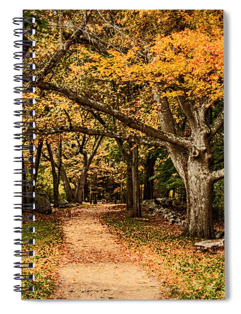 Autumn Foliage New England Spiral Notebook featuring the photograph Walk in the woods by Jeff Folger