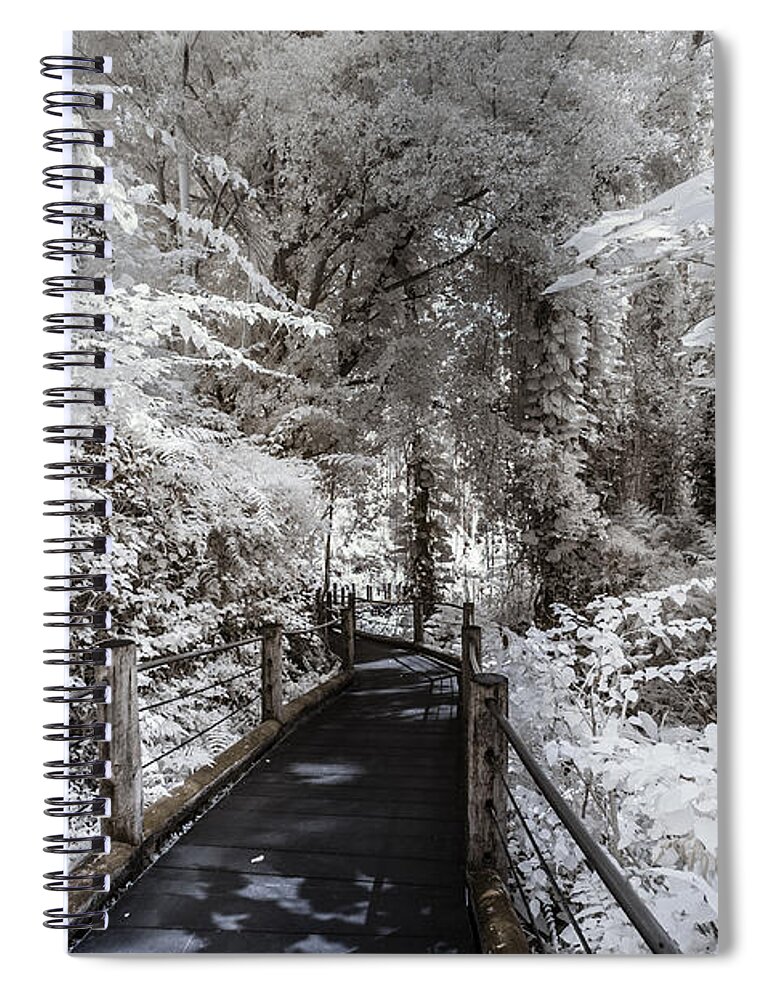 720 Nm Spiral Notebook featuring the photograph Walking Into the Infrared Jungle 1 by Jason Chu