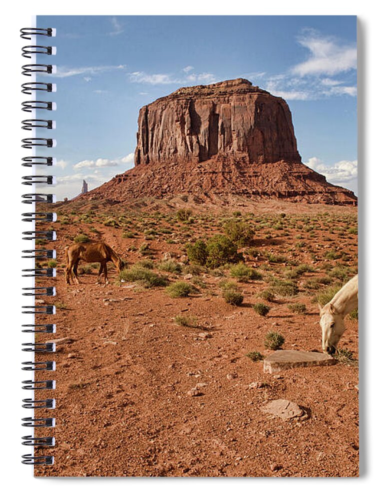 Horse Spiral Notebook featuring the photograph Wandering Horse At Monument Valley by Dave Stamboulis Travel Photography