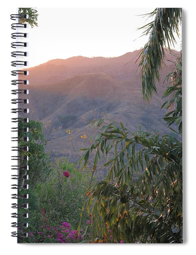 Palm Spiral Notebook featuring the photograph Warm Sunrise by Jessica Myscofski