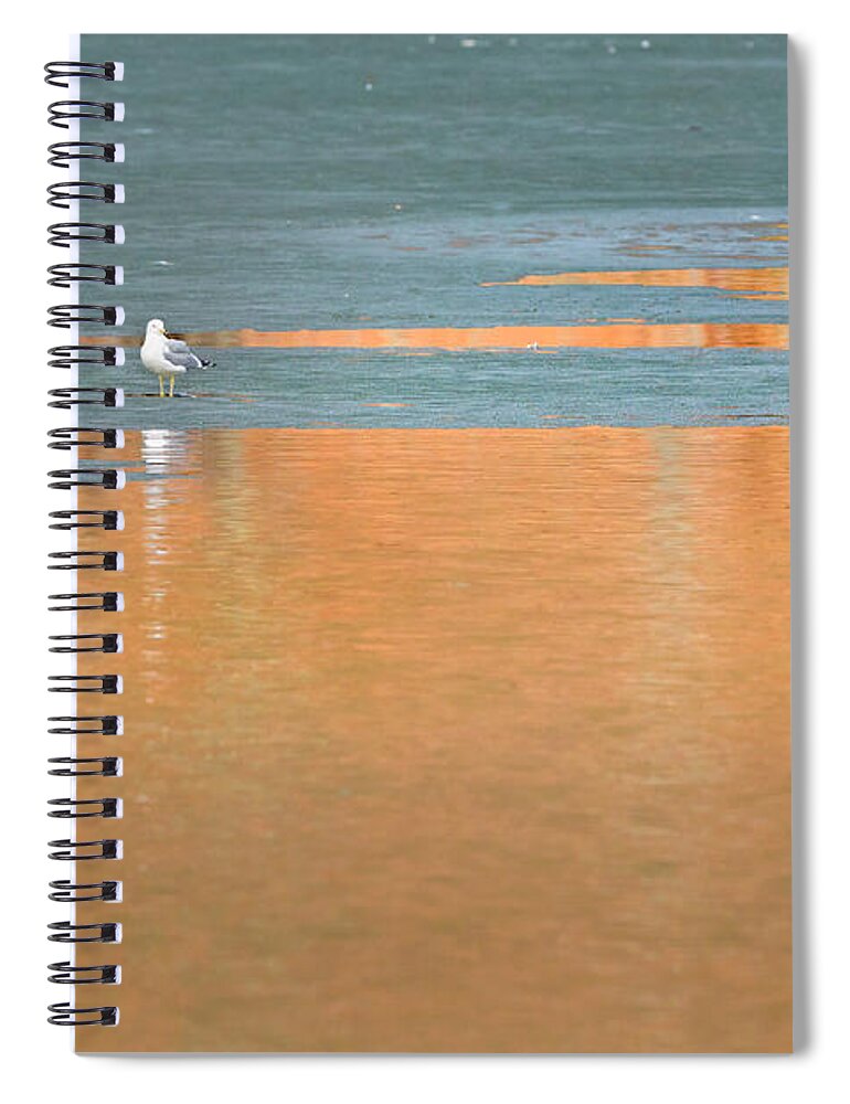 Reflection Spiral Notebook featuring the photograph Warming Waters by Bill Wakeley