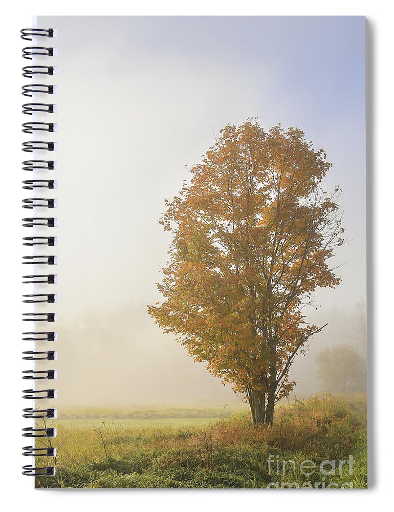 Ithaca Spiral Notebook featuring the photograph Warmth by Evelina Kremsdorf