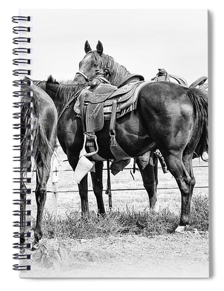Horses Spiral Notebook featuring the photograph Watching and Waiting by Karen Slagle