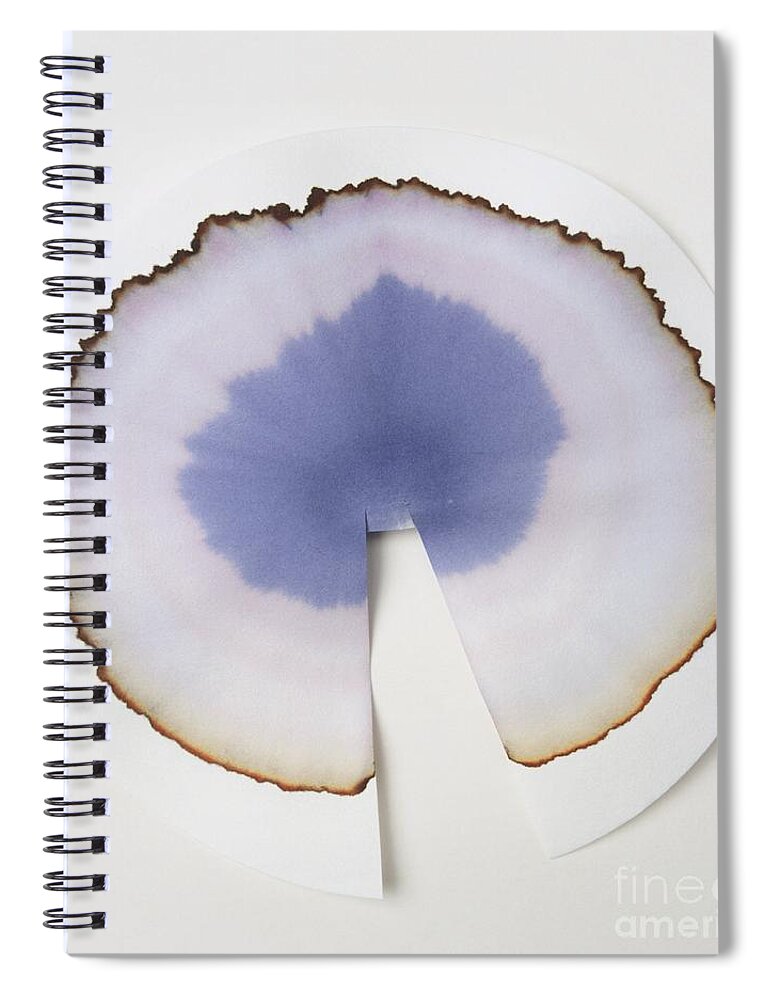Blot Spiral Notebook featuring the photograph Water Added To Black Ink by Dorling Kindersley