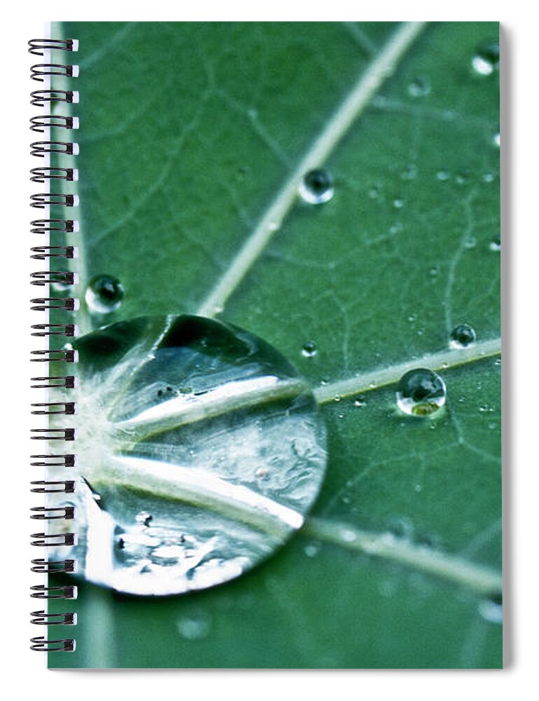 Heiko Spiral Notebook featuring the photograph Water droplet on a lotus leaf by Heiko Koehrer-Wagner