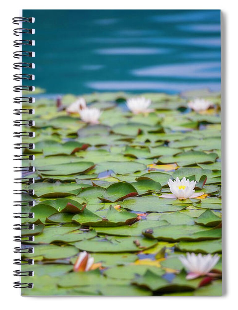 Ornamental Garden Spiral Notebook featuring the photograph Water Lilies by Vm