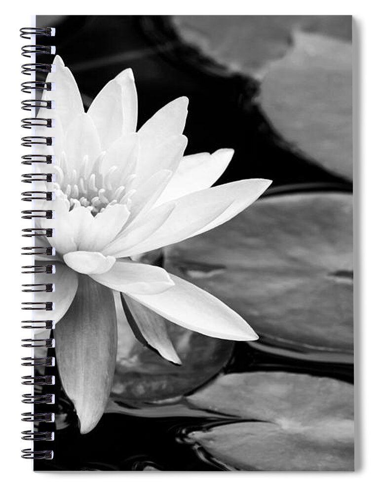 Landscape Spiral Notebook featuring the photograph Water Lily in the Lily Pond by Sabrina L Ryan