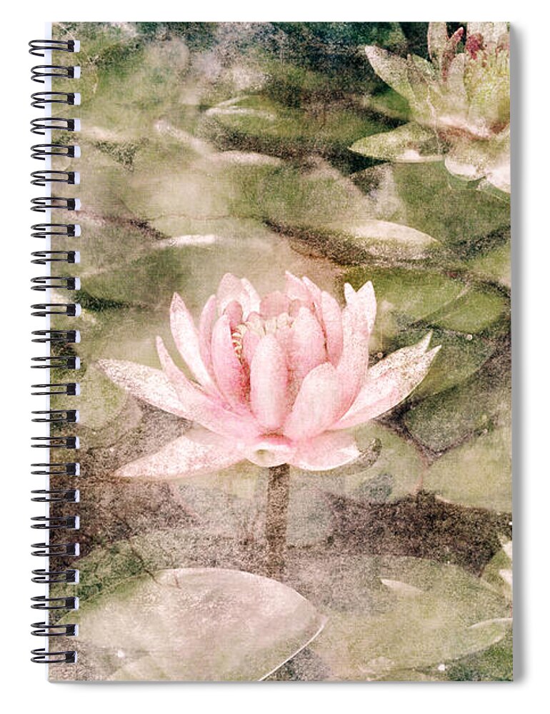 Flower Spiral Notebook featuring the photograph Water Lily in lake by Jelena Jovanovic