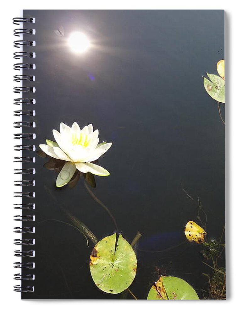 Water Lily Spiral Notebook featuring the photograph Water Lily by Laurel Best