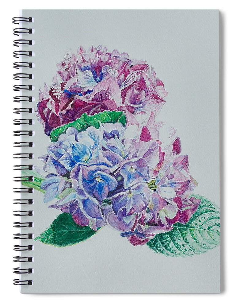 Flower Painting Spiral Notebook featuring the painting Watercolored Hydrangea by Michele Myers
