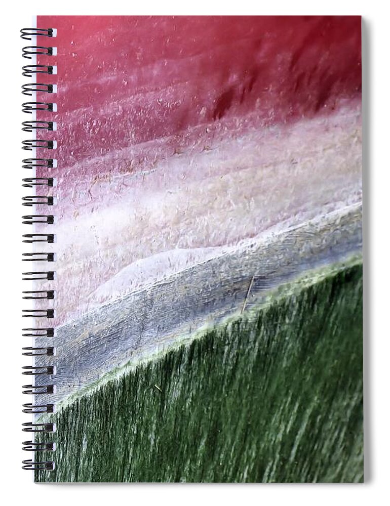 Stripes Spiral Notebook featuring the photograph Watermelon Colors by Janice Drew