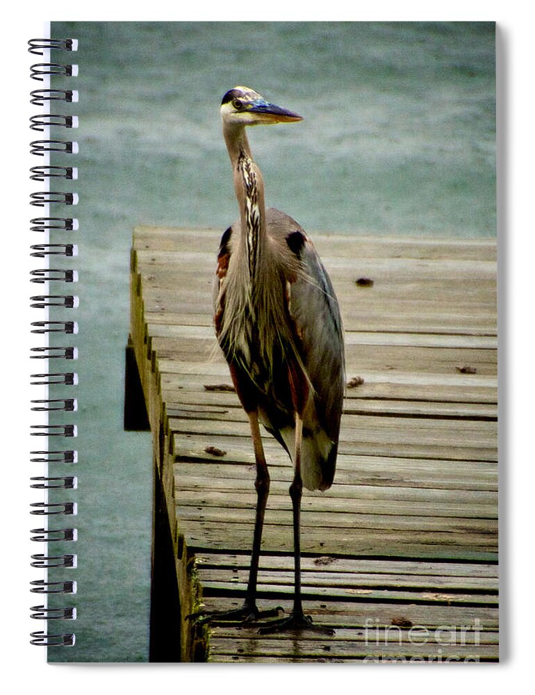 Bird Spiral Notebook featuring the photograph Weather Delay by William Norton