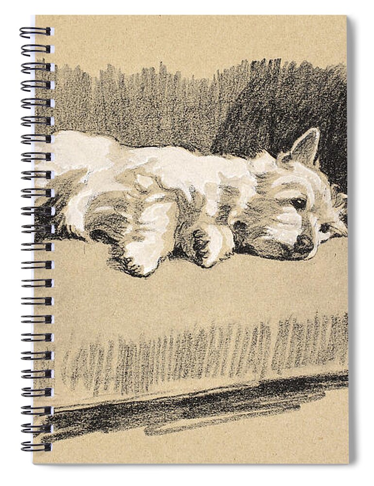 Dog Spiral Notebook featuring the drawing West Highlander, 1930 by Cecil Charles Windsor Aldin