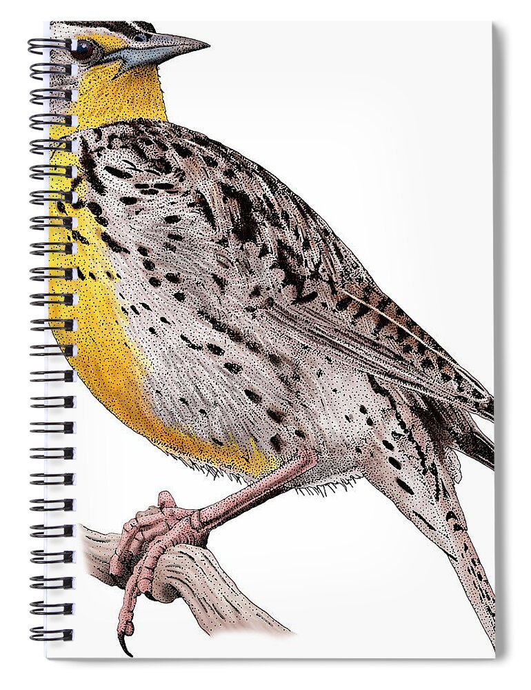 Western Meadowlark Spiral Notebook featuring the photograph Western Meadowlark by Roger Hall