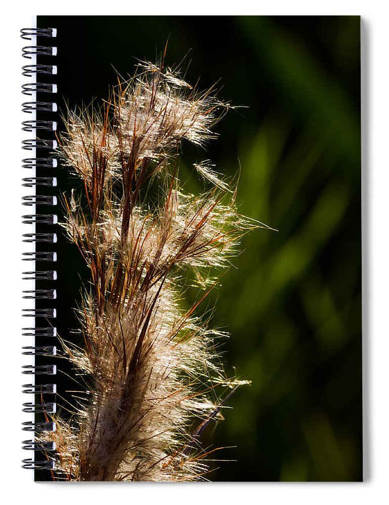 Aqauatic Spiral Notebook featuring the photograph Wetland Sparkles by Ed Gleichman