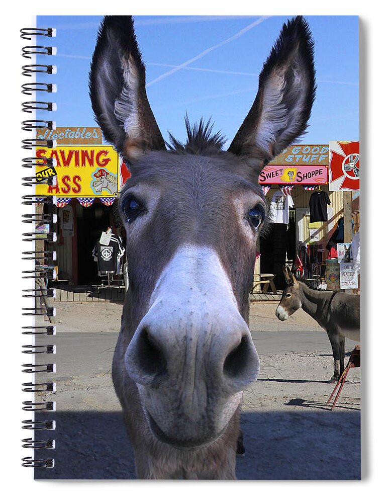 Donkey Spiral Notebook featuring the photograph What . . . No Carrots by Mike McGlothlen