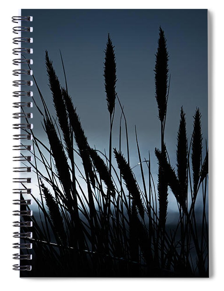 Cornstalks Spiral Notebook featuring the photograph Wheat stalks on a dune at moonlight by Nick Biemans