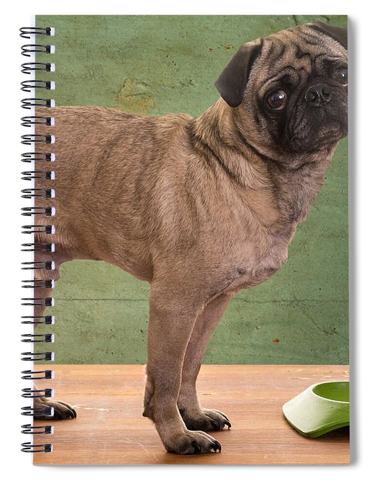 Bowl Spiral Notebook featuring the photograph When is Dinner? by Edward Fielding