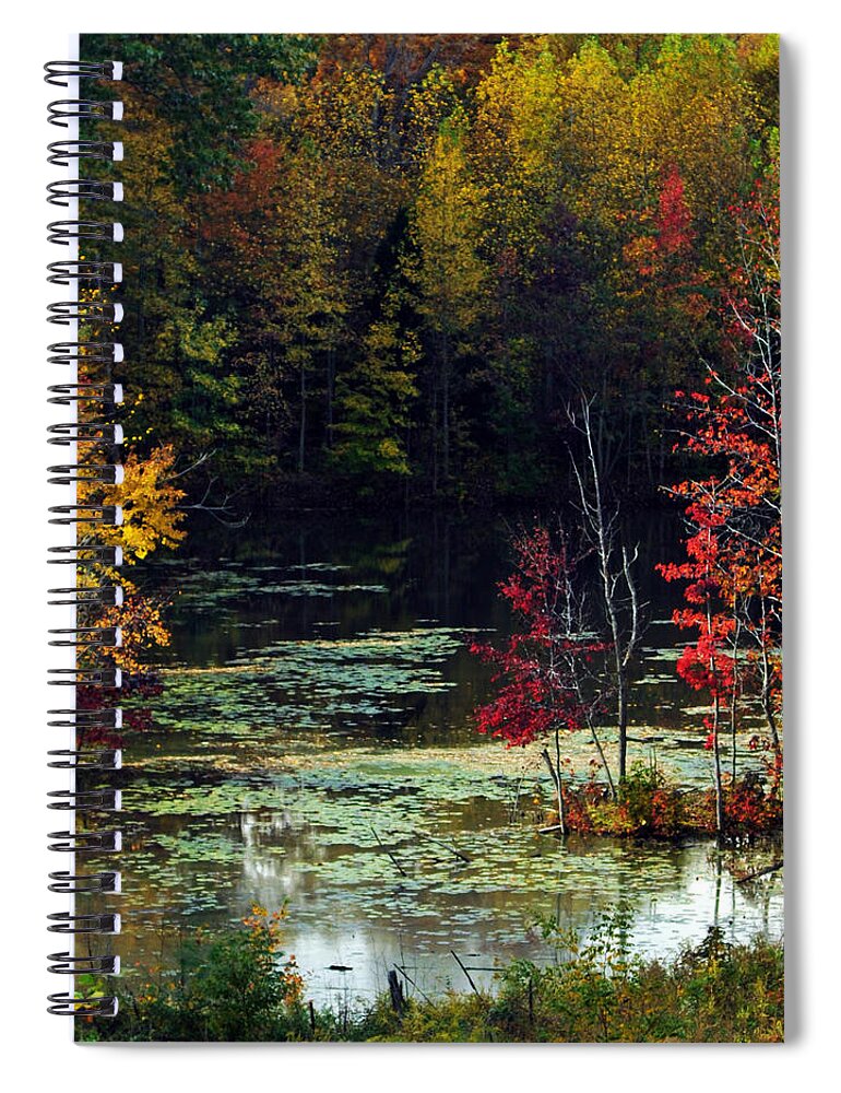 Autumn Spiral Notebook featuring the photograph When the Green Woods Laugh by Rebecca Sherman