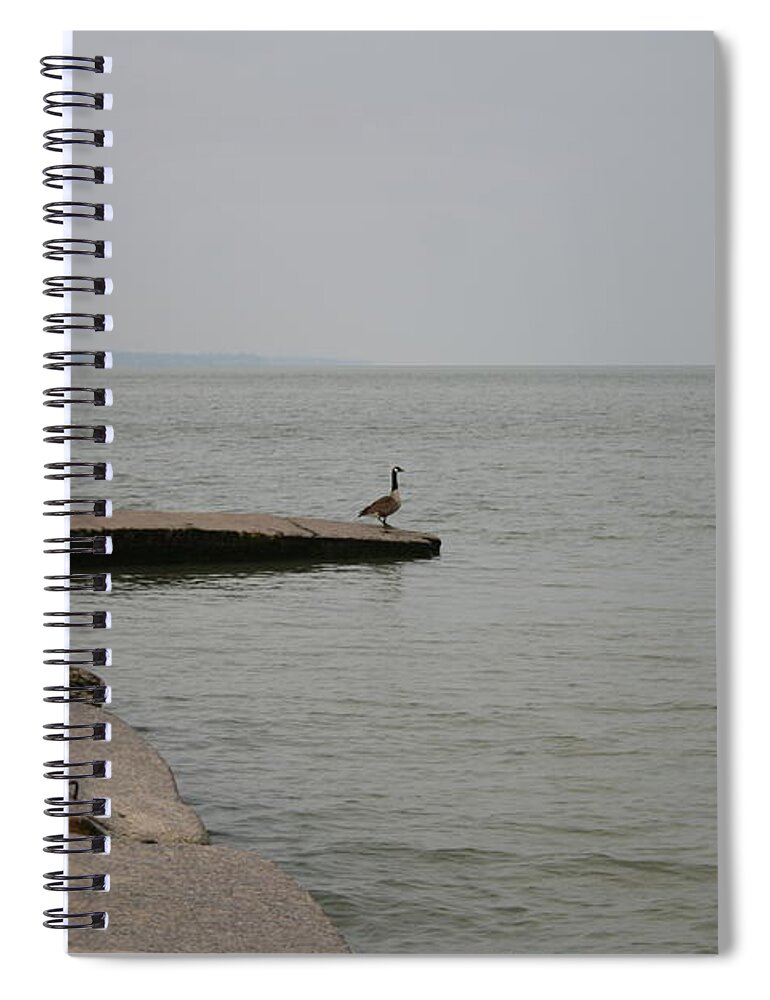 Canadian Geese Spiral Notebook featuring the photograph Solitude on Lake Erie by Valerie Collins