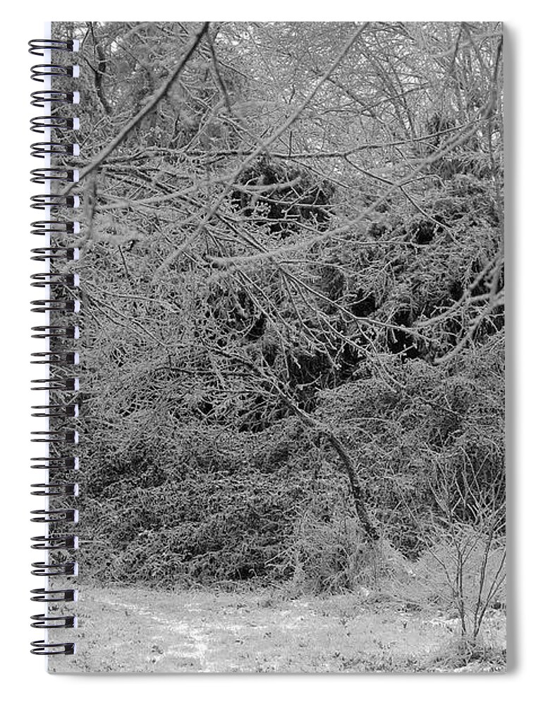 Ice Spiral Notebook featuring the photograph Where Is The Trail by Daniel Reed