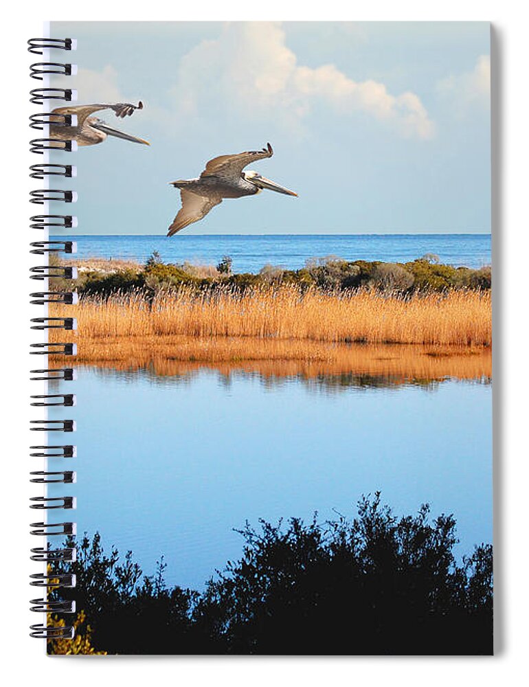 Pelicans Spiral Notebook featuring the photograph Where The Marsh Meets The Atlantic by Kathy Baccari