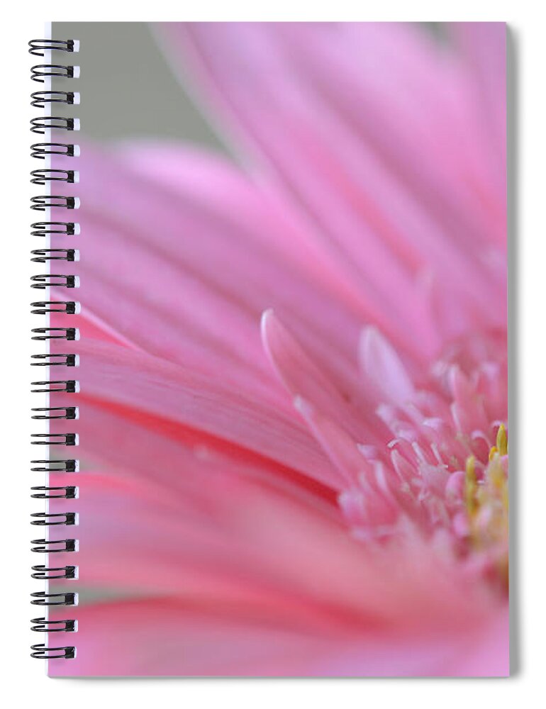 Flower Spiral Notebook featuring the photograph Wherever Your Heart Is by Melanie Moraga