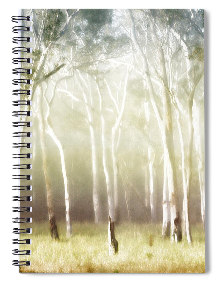Landscapes Spiral Notebook featuring the photograph Whisper the Trees by Holly Kempe