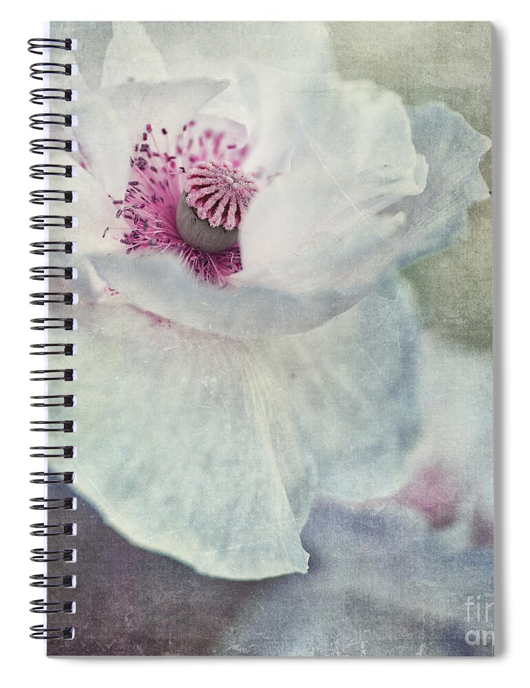 Poppy Spiral Notebook featuring the photograph White And Pink by Priska Wettstein