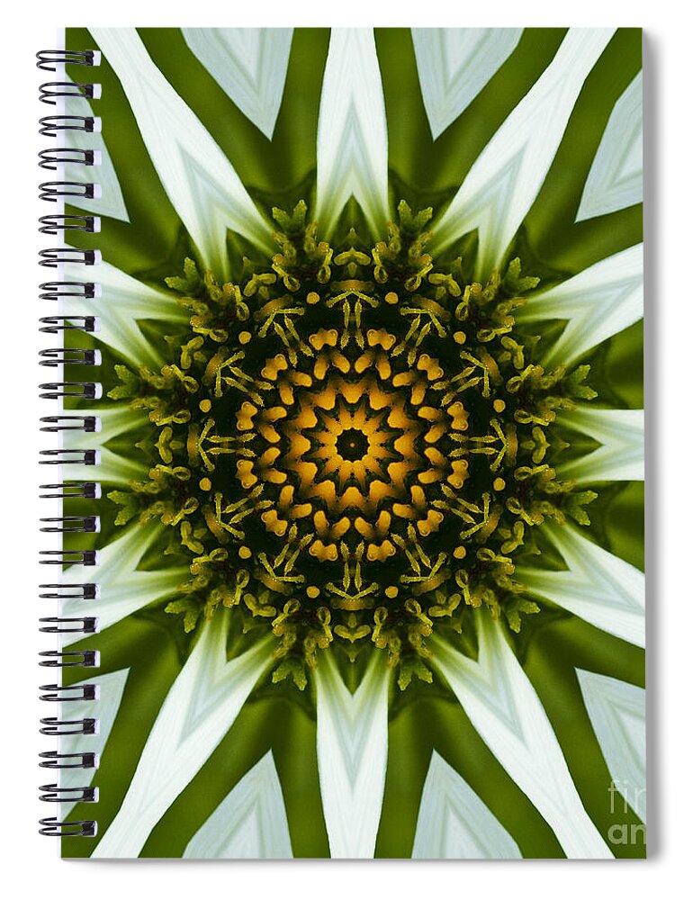 Mandala Spiral Notebook featuring the photograph White Coneflower Mandala 12 by Carrie Cranwill