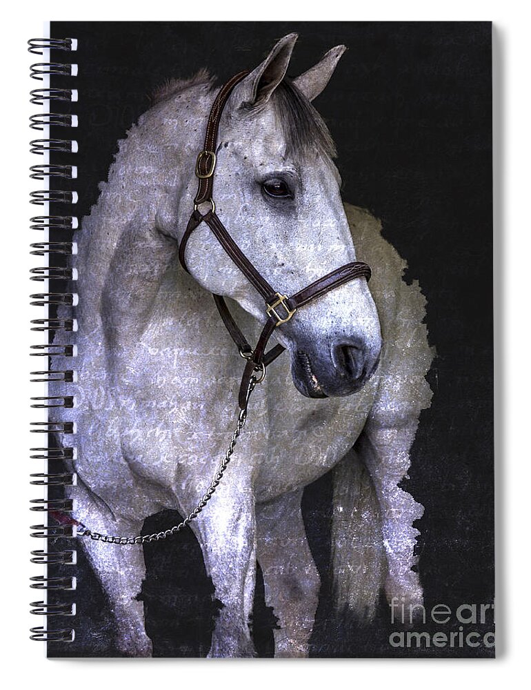 Horse Digital Art Spiral Notebook featuring the photograph White Horse digital art montage by JBK Photo Art