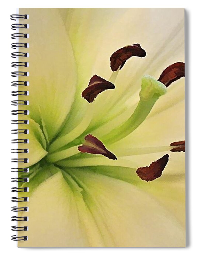 White Lily Spiral Notebook featuring the digital art White Lily PP-6 by Doug Morgan