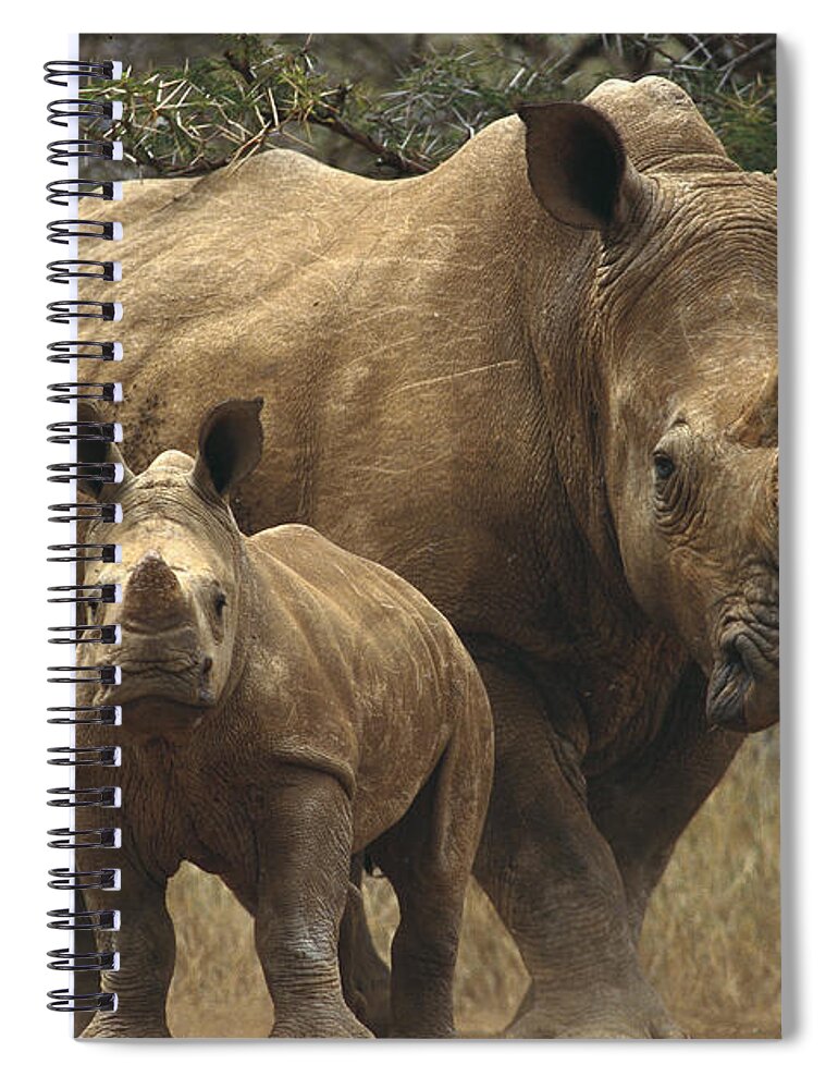 Feb0514 Spiral Notebook featuring the photograph White Rhinoceros And Baby Lewa Kenya by Gerry Ellis