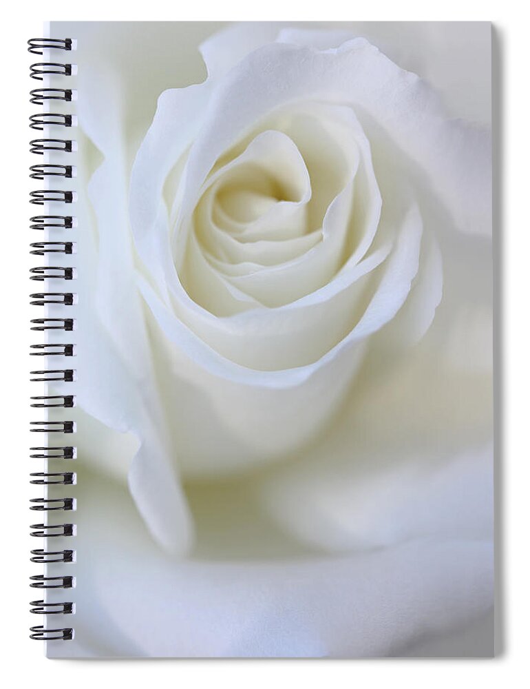 Rose Spiral Notebook featuring the photograph White Rose Floral Whispers by Jennie Marie Schell
