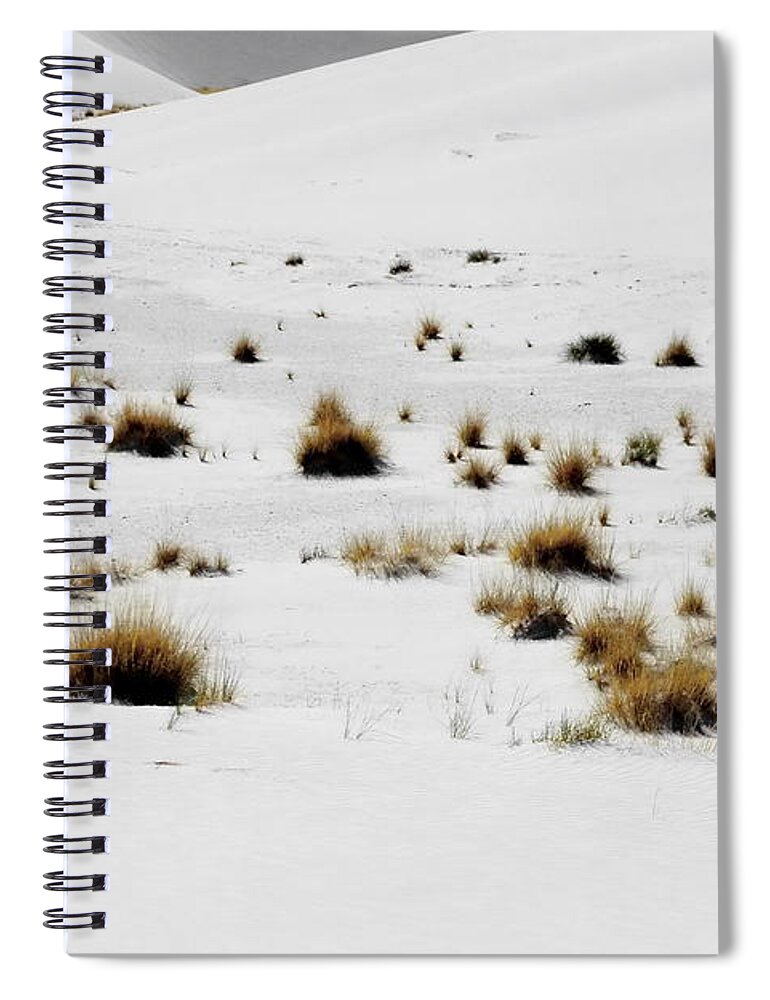 Digital Color Photo Spiral Notebook featuring the digital art White Sands Life by Tim Richards