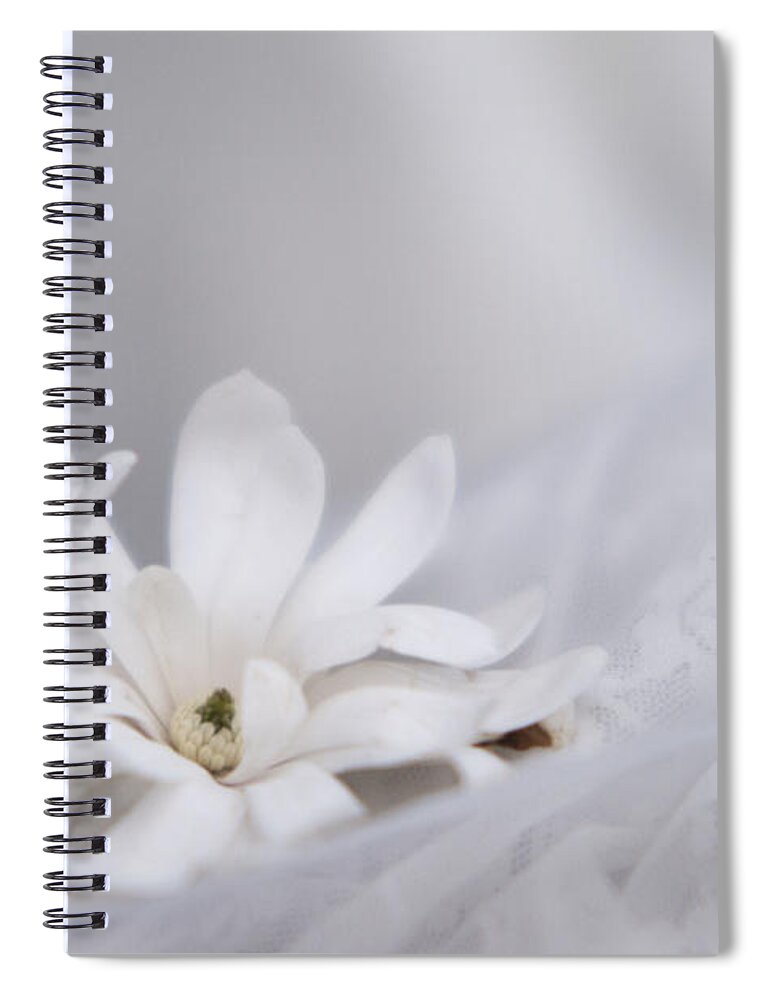 Magnolias Spiral Notebook featuring the photograph White by Stephanie Hollingsworth