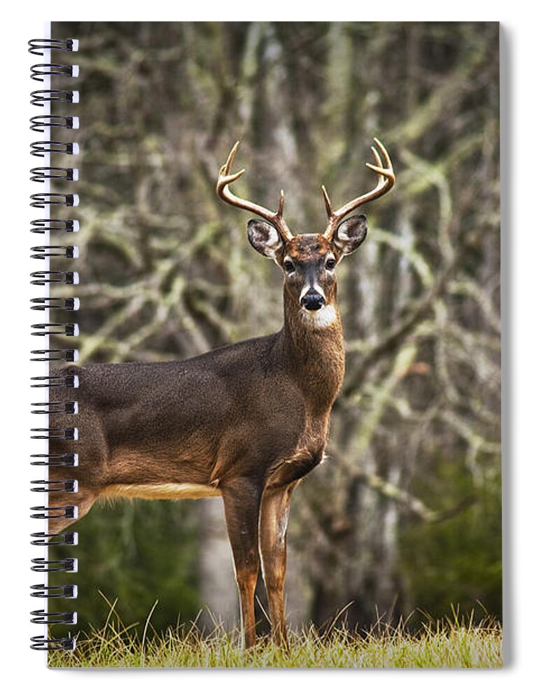 Art Spiral Notebook featuring the photograph White Tailed Deer Eight Point Buck by Randall Nyhof