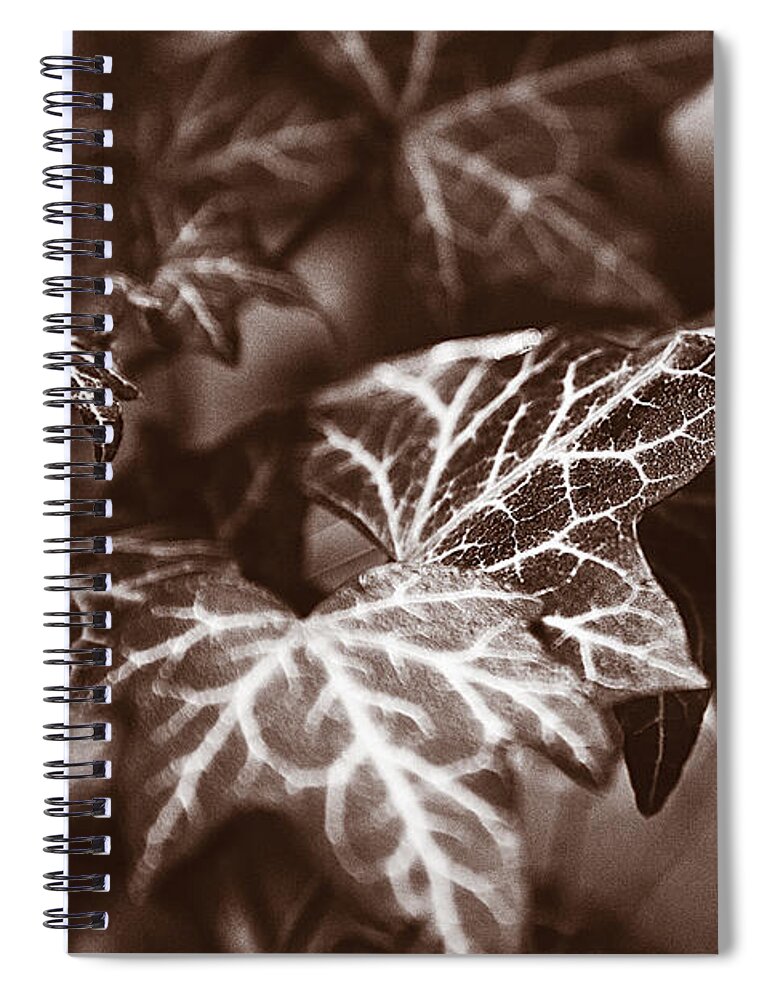Ivy Photographs Spiral Notebook featuring the digital art White Veins by David Davies