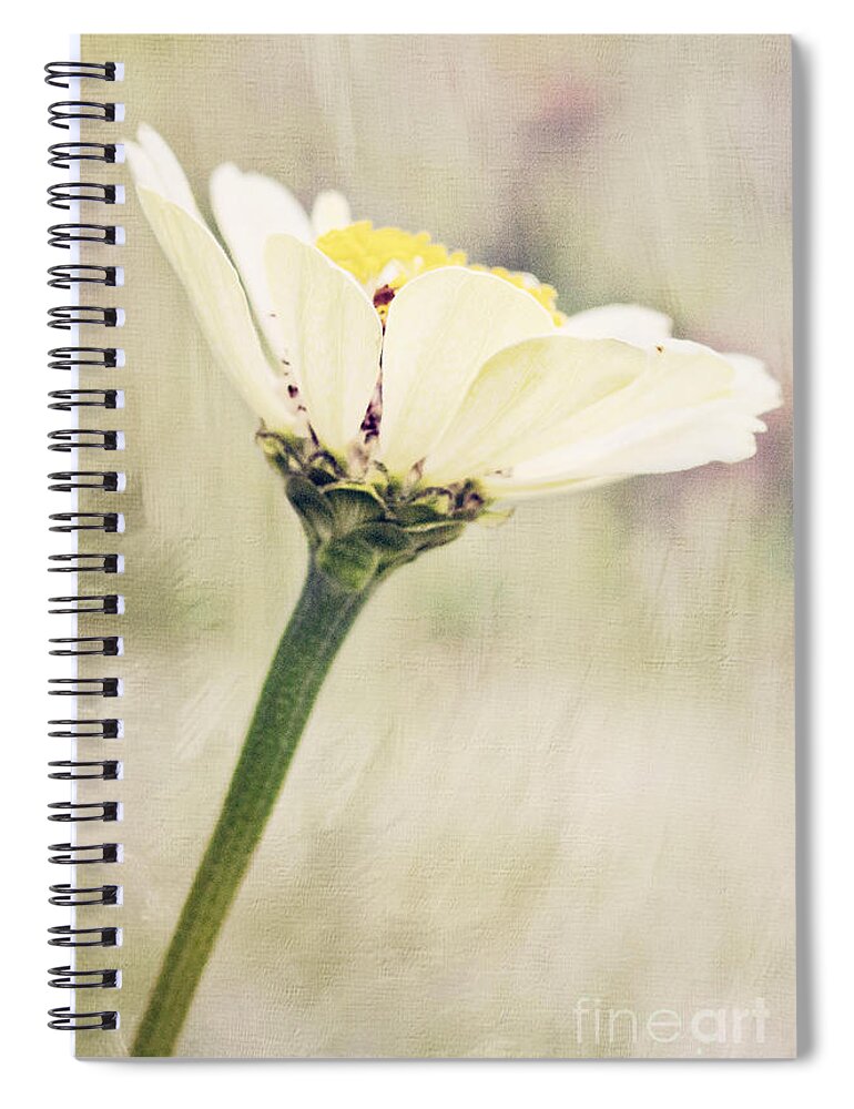 Zinnia Spiral Notebook featuring the photograph White Zinnia by Pam Holdsworth